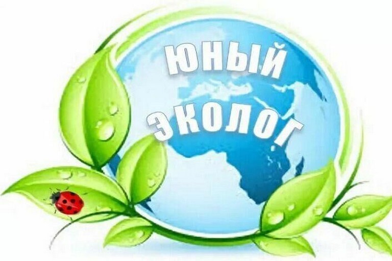 21 день. Лагерь "Юный эколог". Корпус 2 21 день. Лагерь "Юный эколог". Корпус 2.