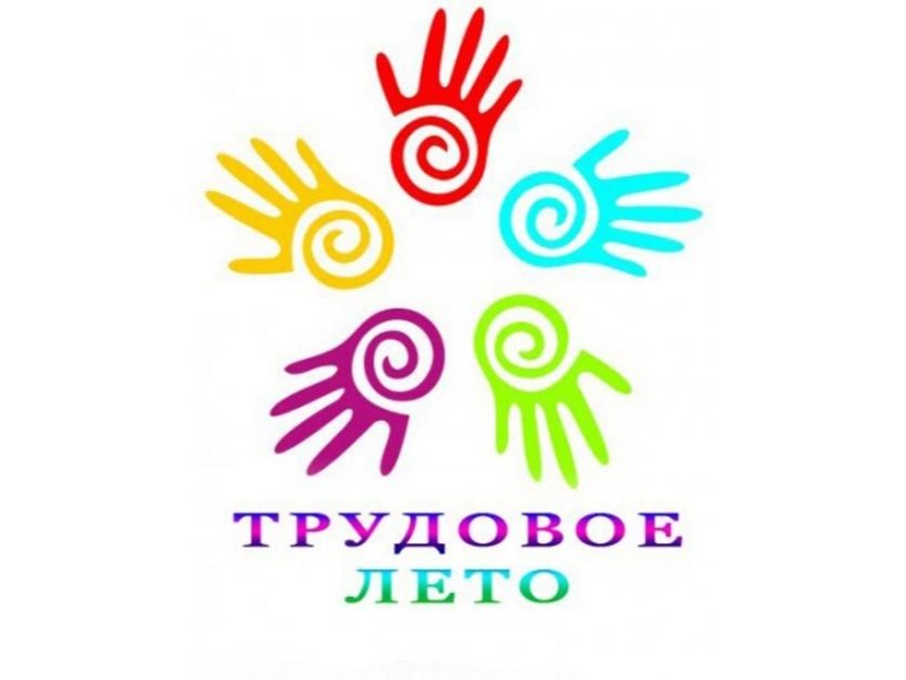 В нашей школе стартовала смена трудового лагеря «Летняя агрошкола» В нашей школе стартовала смена трудового лагеря «Летняя агрошкола».