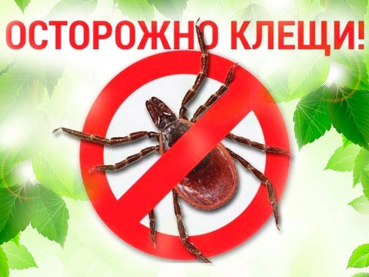 Памятки по профилактике клещевого энцефалита и других инфекций, передающихся клещами Памятки по профилактике клещевого энцефалита и других инфекций, передающихся клещами.
