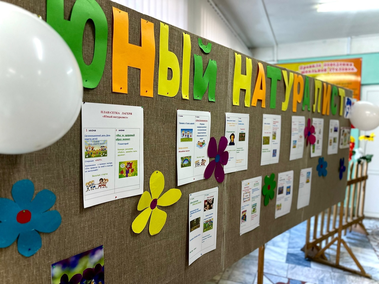 ☀️1 день. Лагерь «Юный натуралист» ☀️1 день. Лагерь «Юный натуралист».