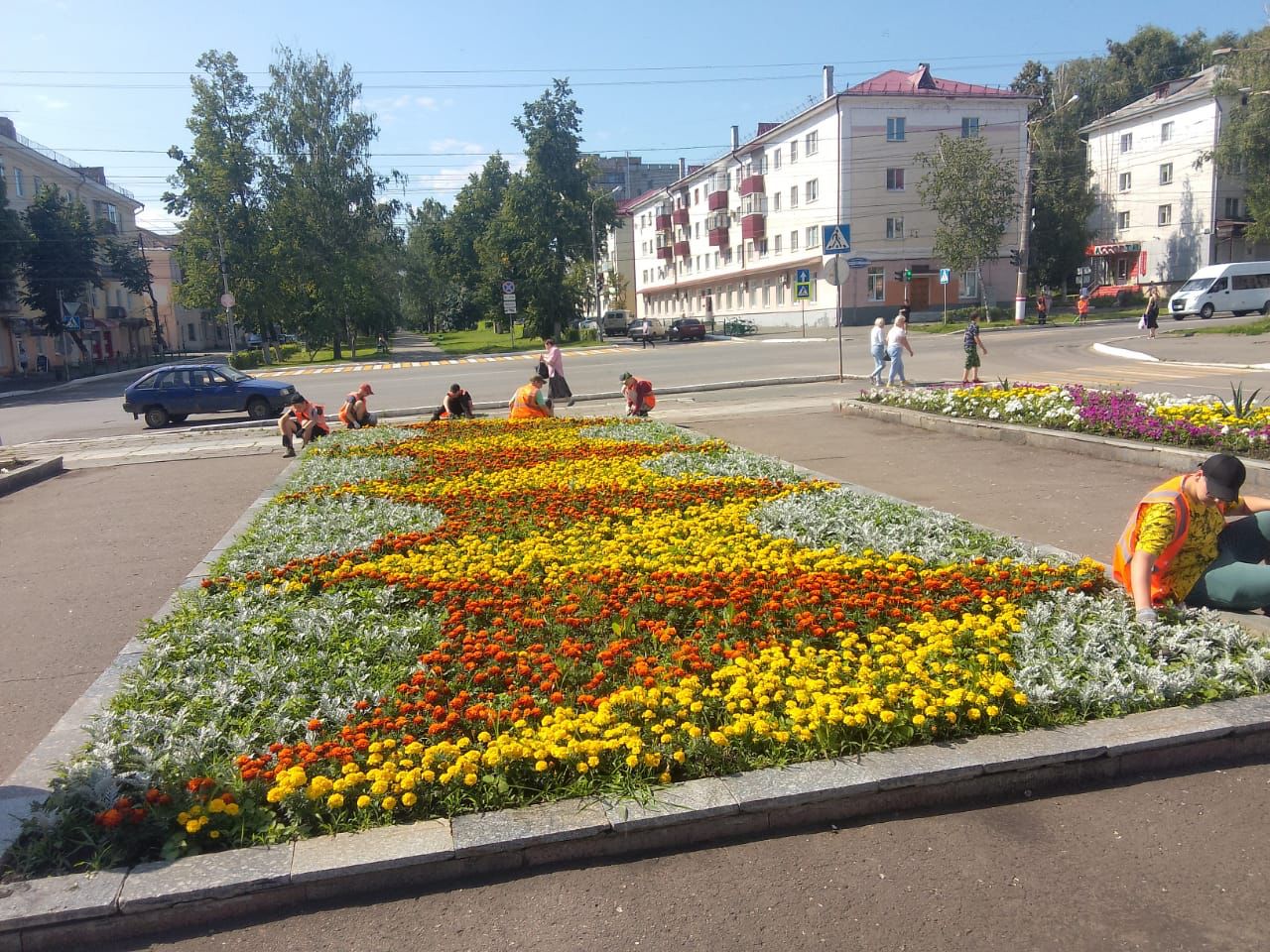 день 9 день 9.