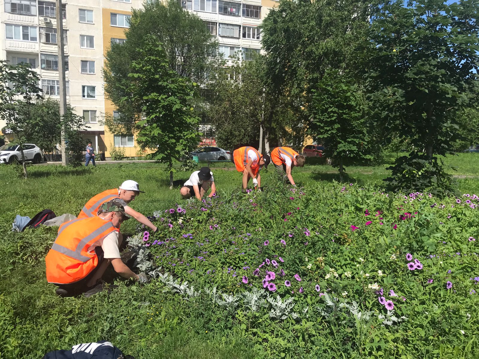19 день 19 день.